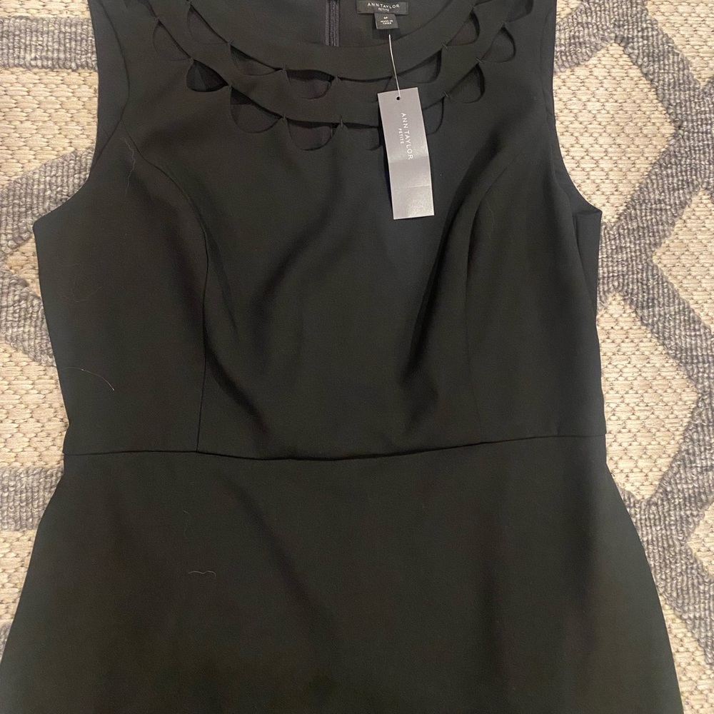 Ann Taylor dress